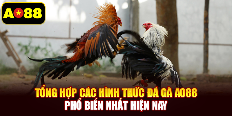Tổng hợp các hình thức đá gà AO88 phổ biến nhất hiện nay
